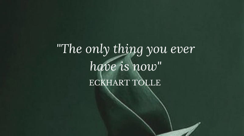 Ayurveda provides us with many tips on how to live well and in harmony. Nature has a remedy to most of our modern-day problems, including stress, acne and anxieties.