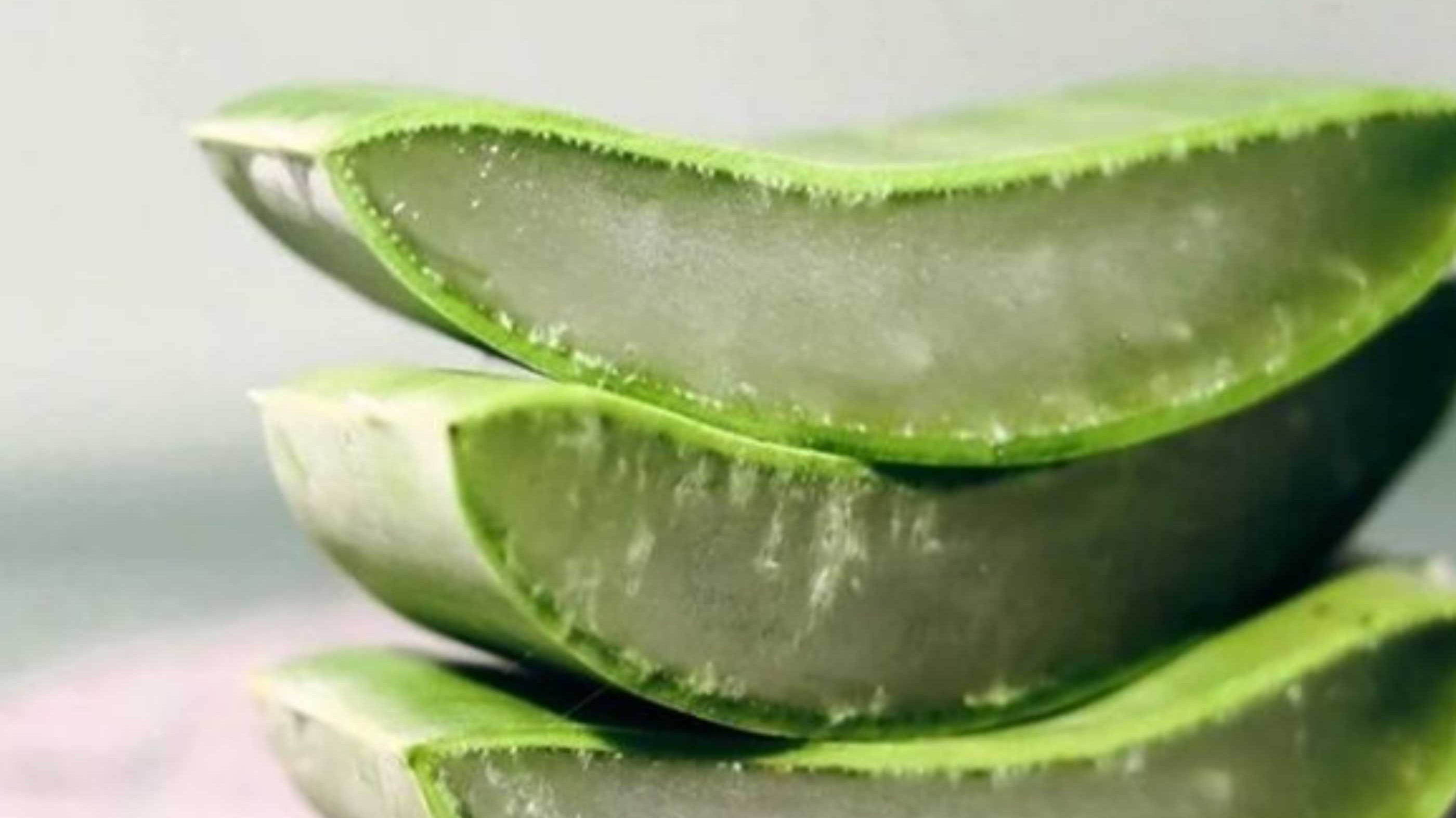 Ayurvedic diet; eating for your dosha