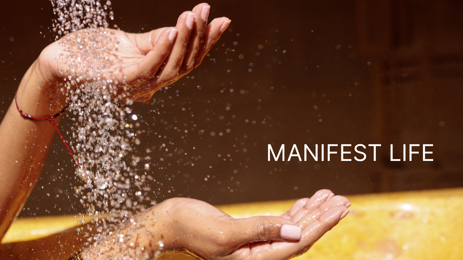 Manifest Life - January 2025