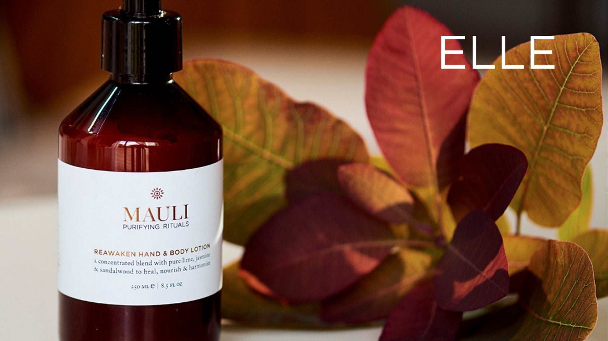 ELLE UK - November 2021