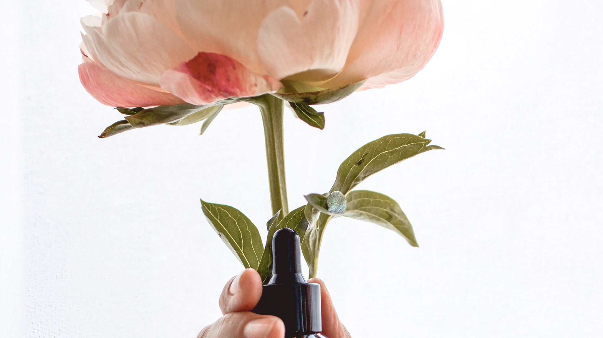 Mornig Rejuvenating Rituals | Mauli Rituals Journal