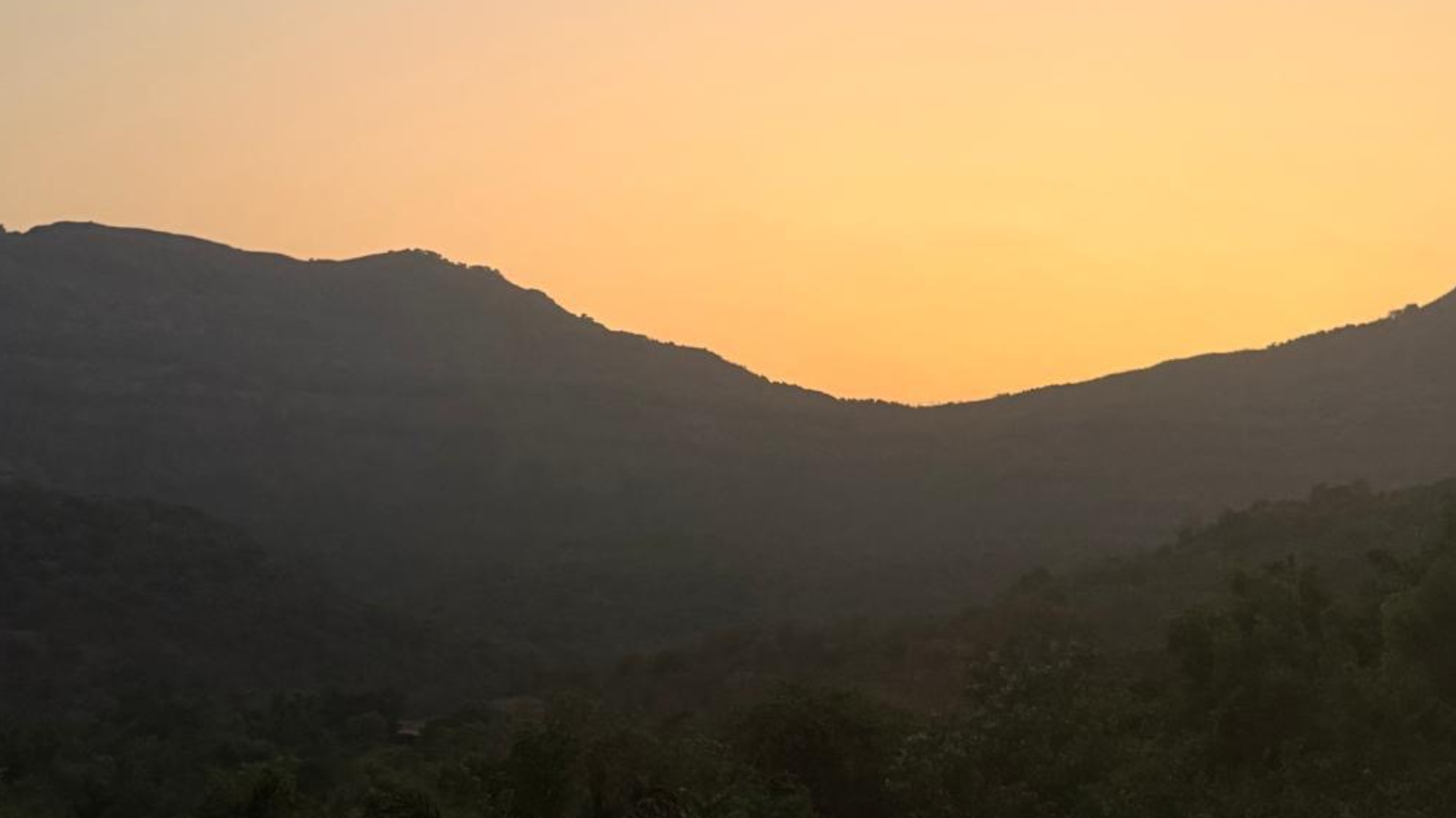 Anita's Half Marathon Preparation at Dharana Retreat
