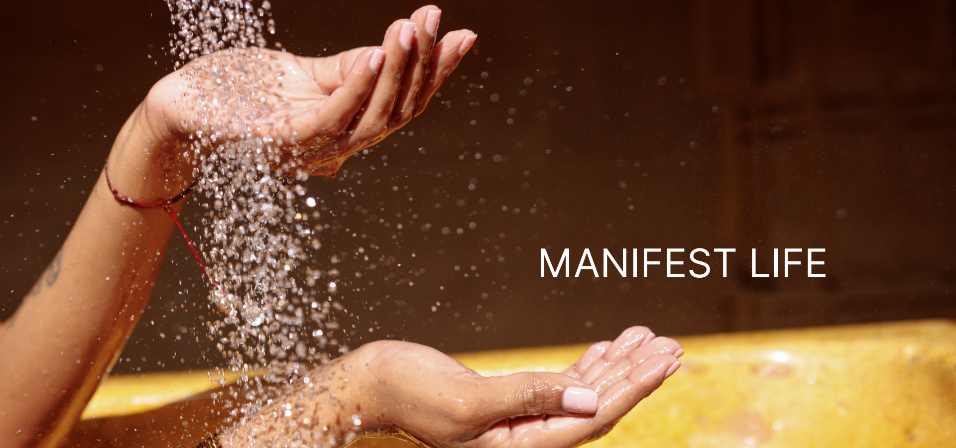 Manifest Life - January 2025