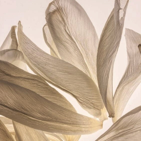 Get Ready To Live Your Potential